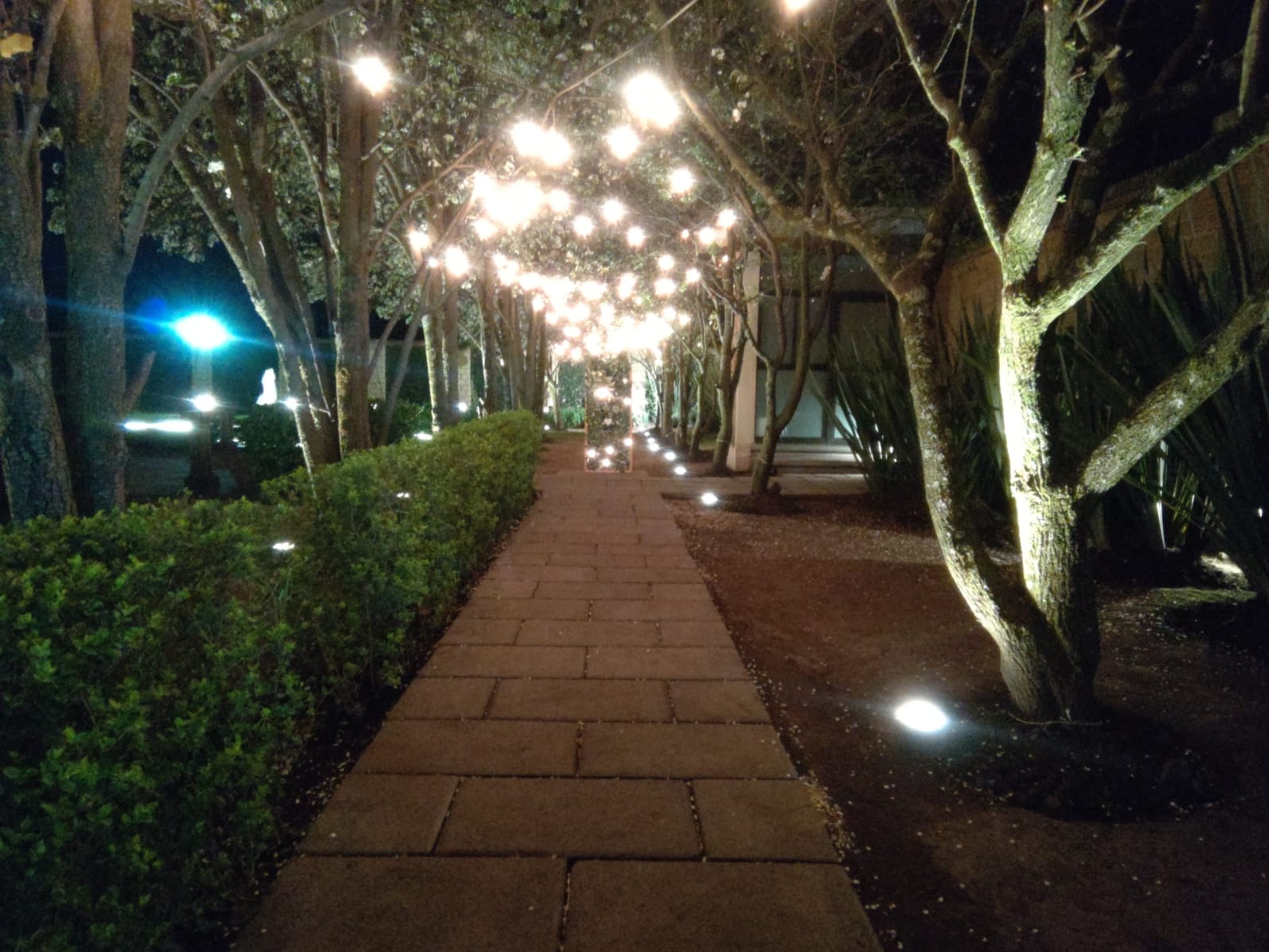 Jardín Bicentenario