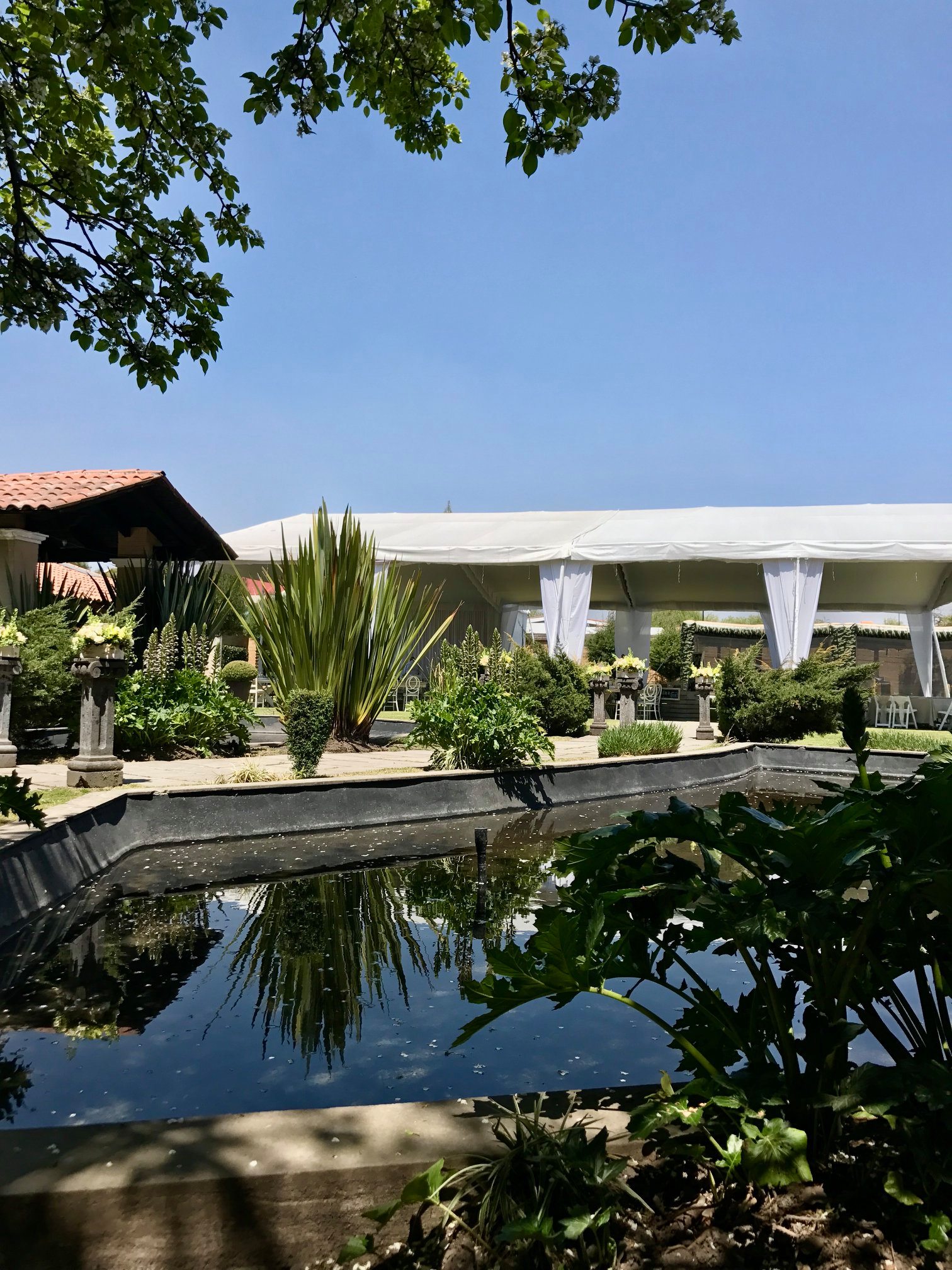 Jardín Bicentenario